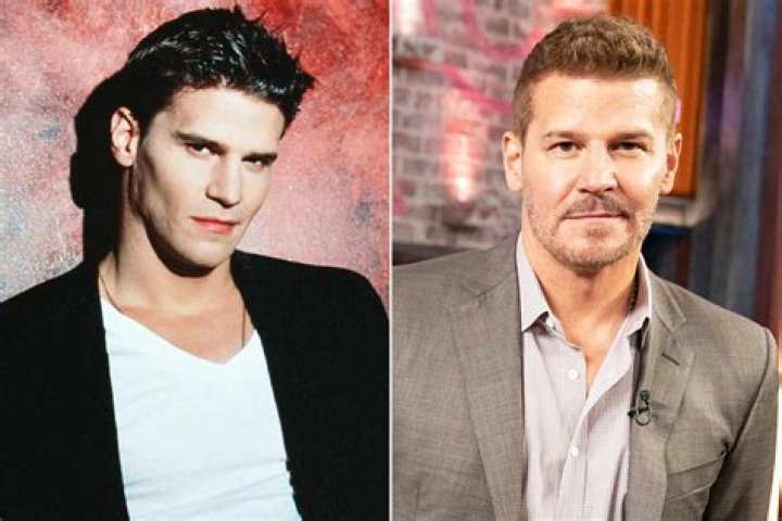 Unveiling David Boreanaz's Spouse: Discoveries And Insights