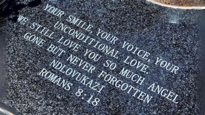 Unveiling The Life And Legacy Of Terri Facci: Globe Park's Treasure